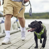 Hurtta Hundegeschirr Weekend Warrior ECO 2 Parsley-grün 55-70