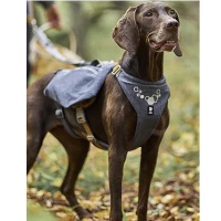 Hurtta Hundegeschirr mit Rucksack Expedition Pack ECO