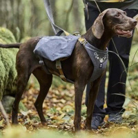 Hurtta Hundegeschirr mit Rucksack Expedition Pack ECO Blackberry-grau 60-80