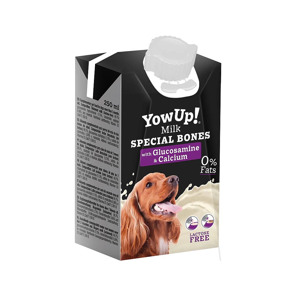 Hunde-Joghurt als bekömmlicher Snack für warme Tage