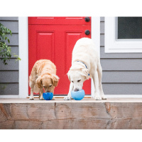 Planet Dog Orbee-Tuff Snoop 12,5cm Blau