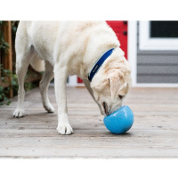 Planet Dog Orbee-Tuff Snoop 12,5cm Orange