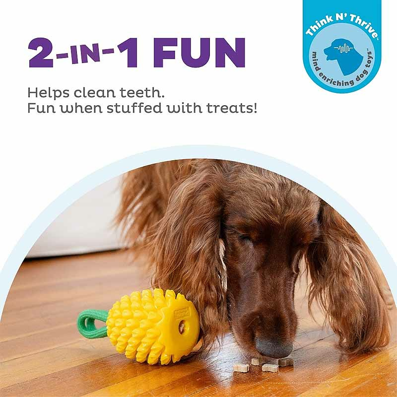 Planet Dog Dental Spielzeug Obstfiguren