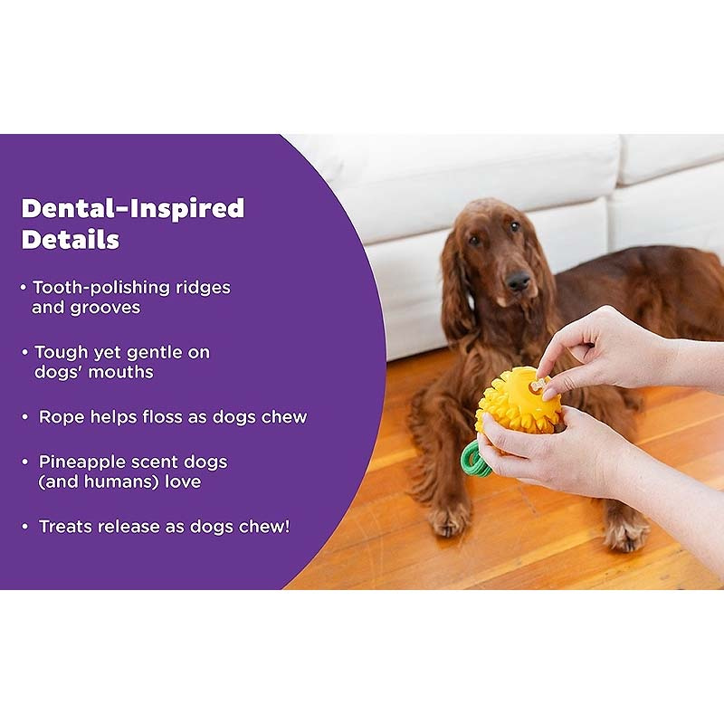 Planet Dog Dental Spielzeug Obstfiguren
