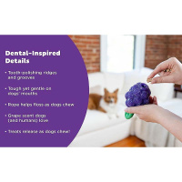 Planet Dog Dental Spielzeug Obstfiguren