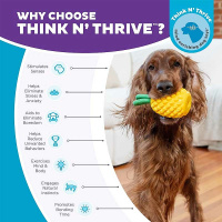 Planet Dog Dental Spielzeug Obstfiguren