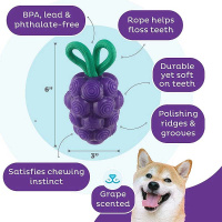 Planet Dog Dental Spielzeug Obstfiguren