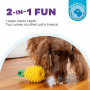 Planet Dog Dental Spielzeug Obstfiguren