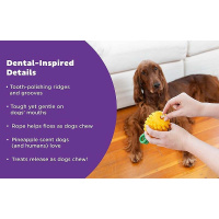 Planet Dog Dental Spielzeug Obstfiguren Ananas