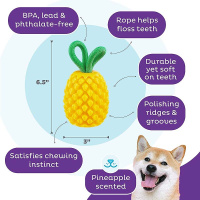 Planet Dog Dental Spielzeug Obstfiguren Ananas