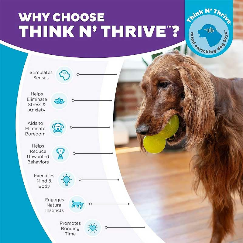 Planet Dog Double-Tuff Robustes Kauspielzeug für deinen Hund