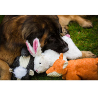 HuggleHounds Squooshie Bunny Hase Hase