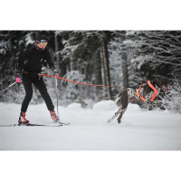 Non-stop dogwear Laufgurt Leinengurt Loype Belt PRO