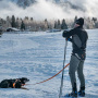 Non-stop dogwear Laufgurt Leinengurt Loype Belt PRO