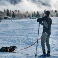 Non-stop dogwear Laufgurt Leinengurt Loype Belt PRO L   97-140cm