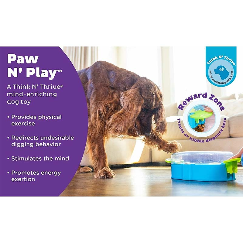 Nina Ottosson Paw N´Play Intelligenzspielzeug LEVEL 2