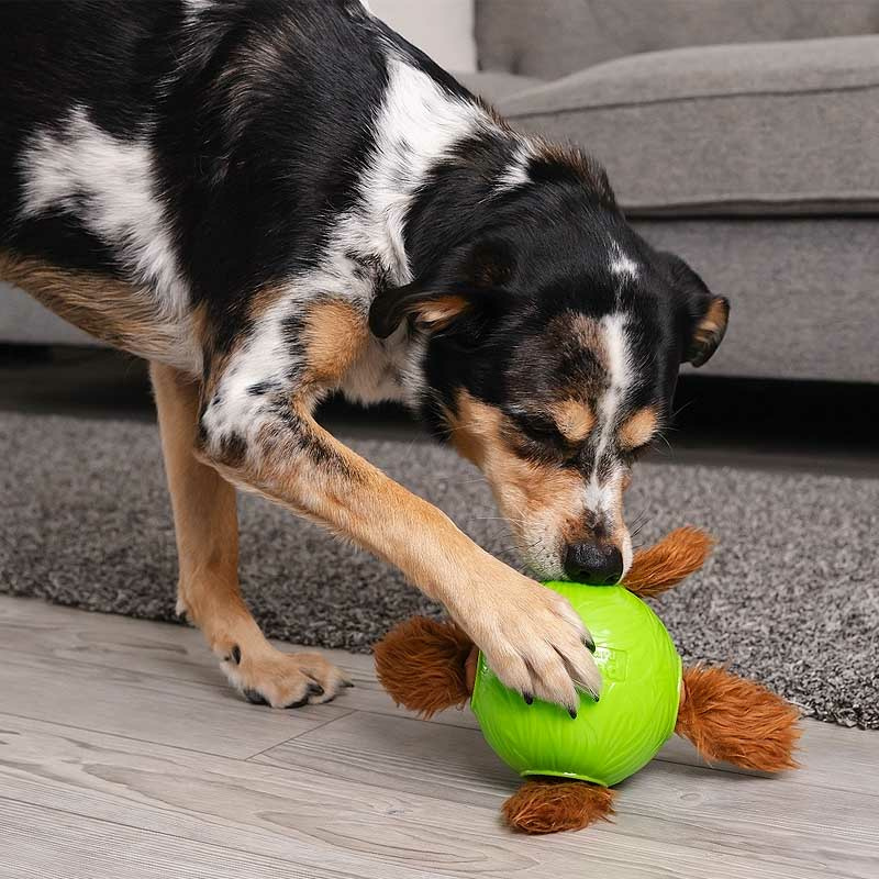 Nina Ottosson Dog Snuffle N´ Treat Ball Intelligenzspielzeug LEVEL 2
