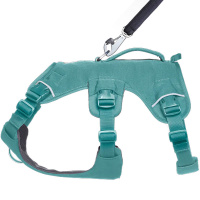 Ruffwear Web Master Sicherheitsgeschirr mit Griff River Rock Green -türkis XS | 43-56cm