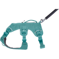 Ruffwear Web Master Sicherheitsgeschirr mit Griff River Rock Green -türkis XS | 43-56cm