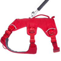 Ruffwear Web Master Sicherheitsgeschirr mit Griff Red Canyon -rot XXS | 33-43cm