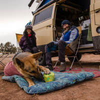 Ruffwear Gnawt A Rock Leckerchenspender robust Purple Orchid | lila violett