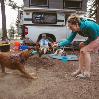 Ruffwear Huck a Cone Leckerchenspender robust mit Seil Purple Orchid | lila violett