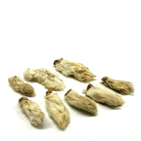 Kaninchenpfoten mit Fell kurz ca 5-8cm f&uuml;r Hunde