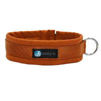 AnnyX Steck Halsband Fun Gesamtübersicht
