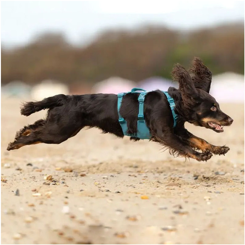 Non-stop dogwear Ramble LONG Brustgeschirr Hundegeschirr
