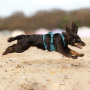 Non-stop dogwear Ramble LONG Brustgeschirr Hundegeschirr