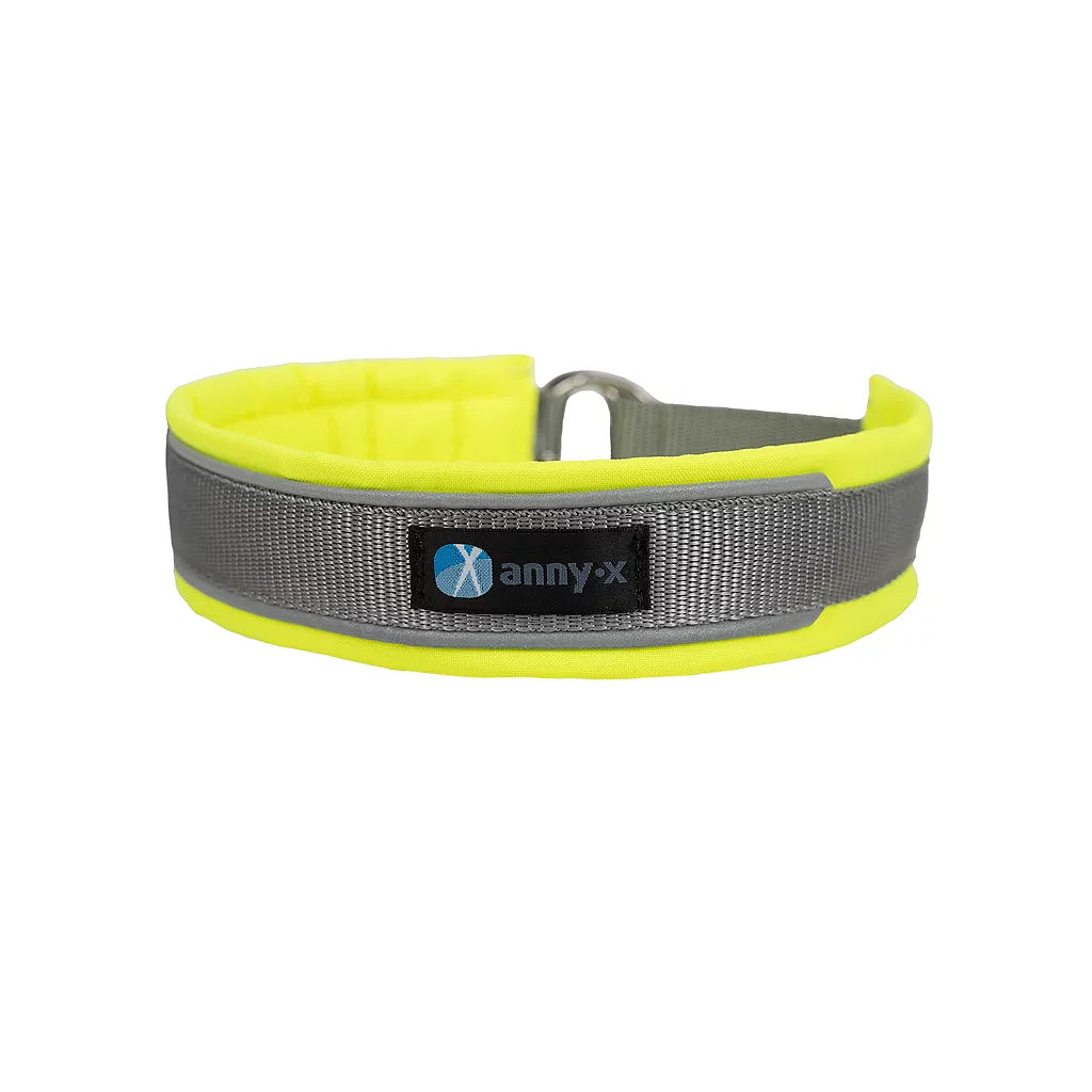 Reflektierendes Zugstopp Halsband für mehr Sichtbarkeit