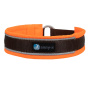 AnnyX Zugstopp Halsband Protect leuchtorange braun 3