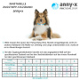 AnnyX Zugstopp Halsband Protect leuchtgelb grau 6