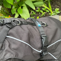 Annyx Mantelgeschirr FUN schwarz 34 - XS