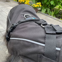 Annyx Mantelgeschirr FUN schwarz 68 - L