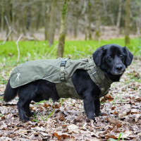 Annyx Mantelgeschirr FUN oliv 56 - M