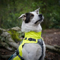 Annyx Mantelgeschirr Protect Übersicht