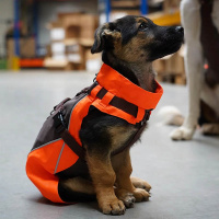 Annyx Mantelgeschirr Protect neonorange braun 56 - M