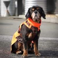 Annyx Mantelgeschirr Protect neongelb grau 76 - L