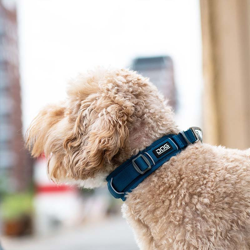 Dog Copenhagen Halsband Urban Explorer V3 Gesamtübersicht