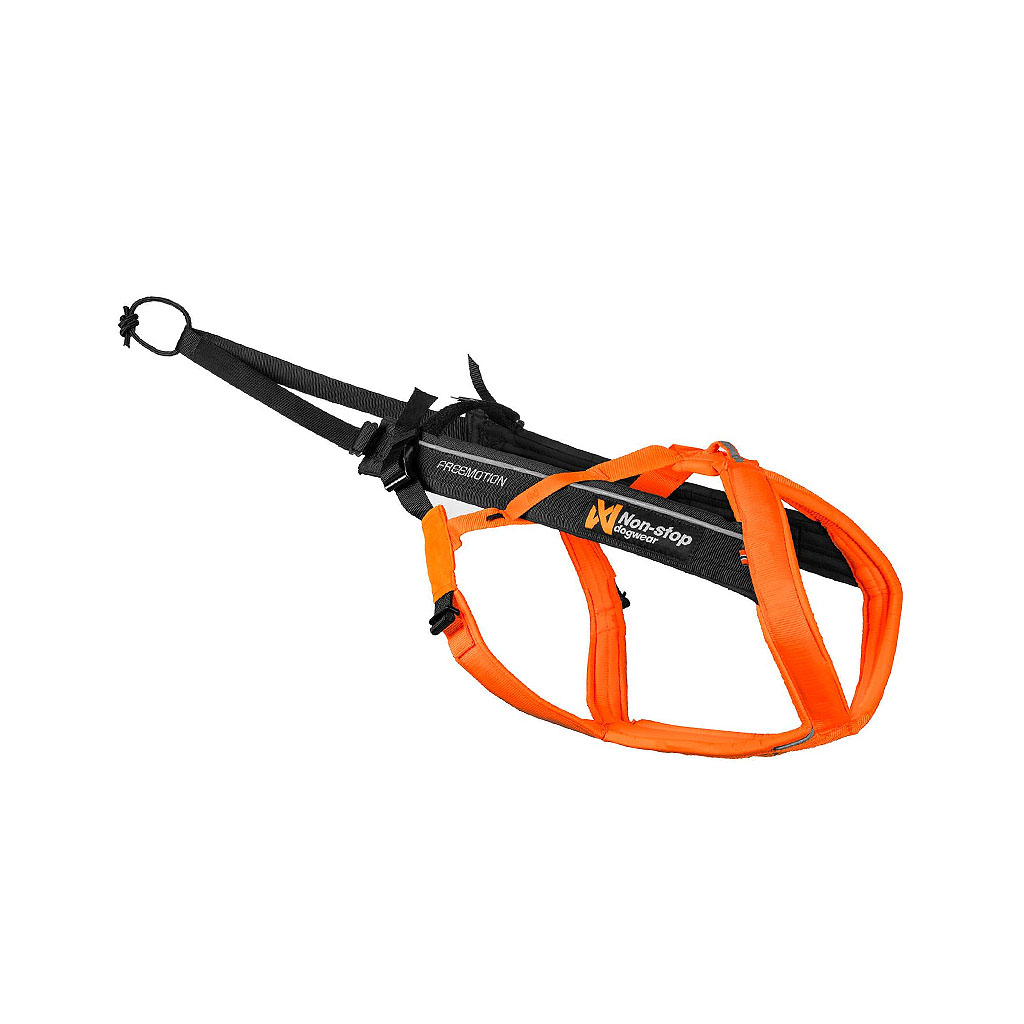 Sportliches Zuggeschirr für Canicross und Zugarbeit