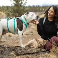 Ruffwear Halsband Hi & Light Gesamtübersicht