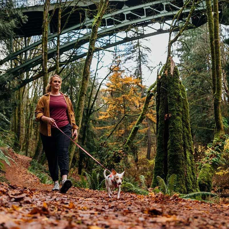 Ruffwear Hundeleine Hi & Light Gesamtübersicht