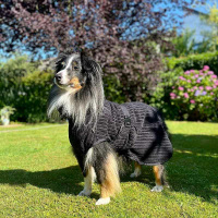 Rukka Pets AALTO Bademantel aus BIO-Baumwolle für Hunde