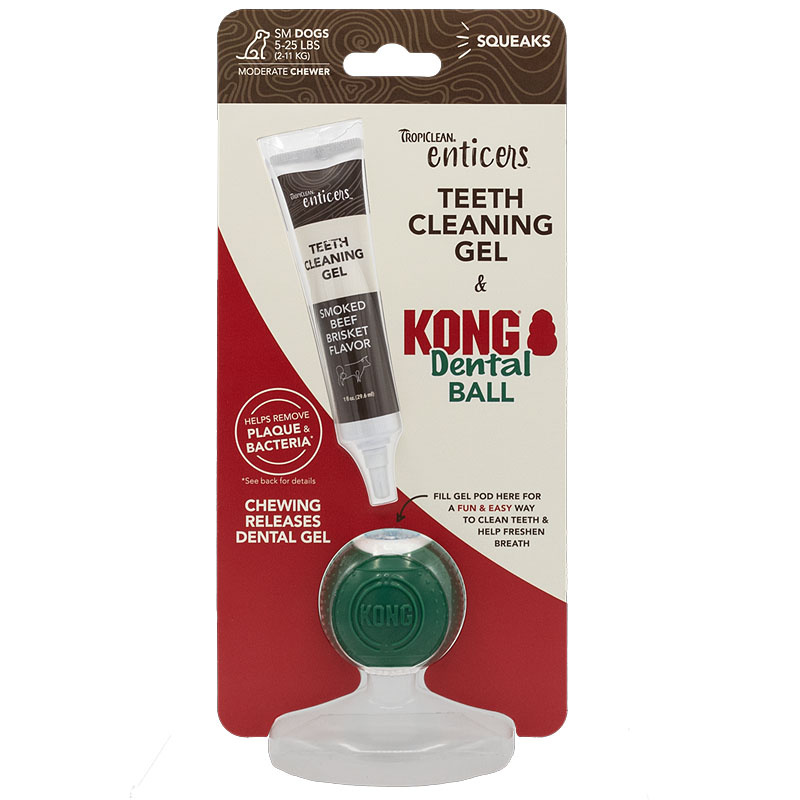 KONG TropiClean Dental Ball Kit – Spielspaß und Zahnpflege