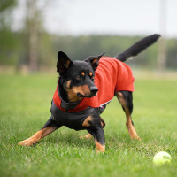 Pomppa Jumppa Fleece Pullover JumppaPomppa Habanero 34