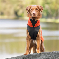 Pomppa Jumppa Fleece Pullover JumppaPomppa Habanero 75