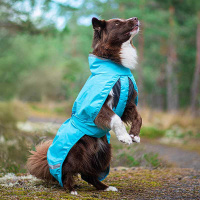 Pomppa Kuori Regenmantel Lemonade 52