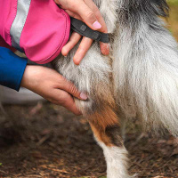 Pomppa Kuori Regenmantel Lemonade 65