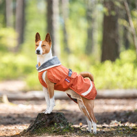 Pomppa Kevyt gefütterter Regenmantel mit Geschirröffnung NEUE Ausführung Rust 31
